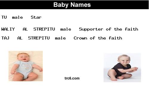waliy---al--strepitu baby names